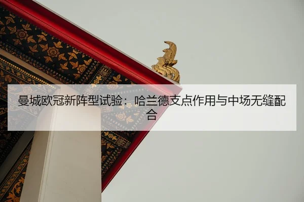 man-cheng-ou-guan-xin-zhen-xing-shi-yan-ha-lan-de-zhi-dian-zuo-yong-yu-zhong-chang-wu-feng-pei-he-2-581.jpg